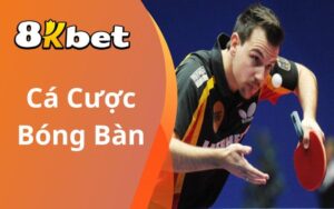 Cá cược bóng bàn