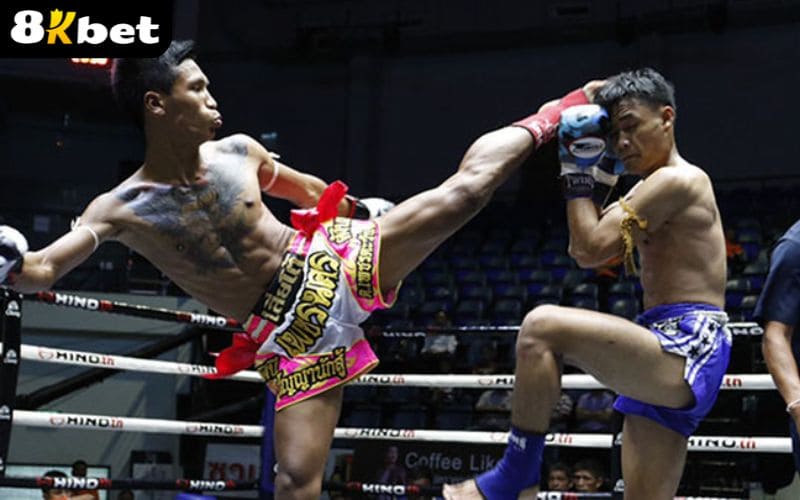 Giới thiệu về cá cược võ tổng hợp tại Thể Thao 8KBET