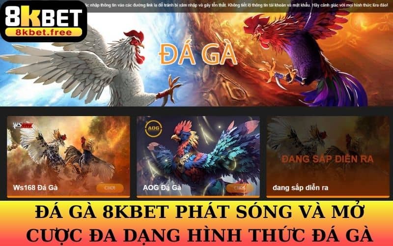 Đá gà 8KBET là sản phẩm phát sóng và mở cược đa dạng hình thức đá gà
